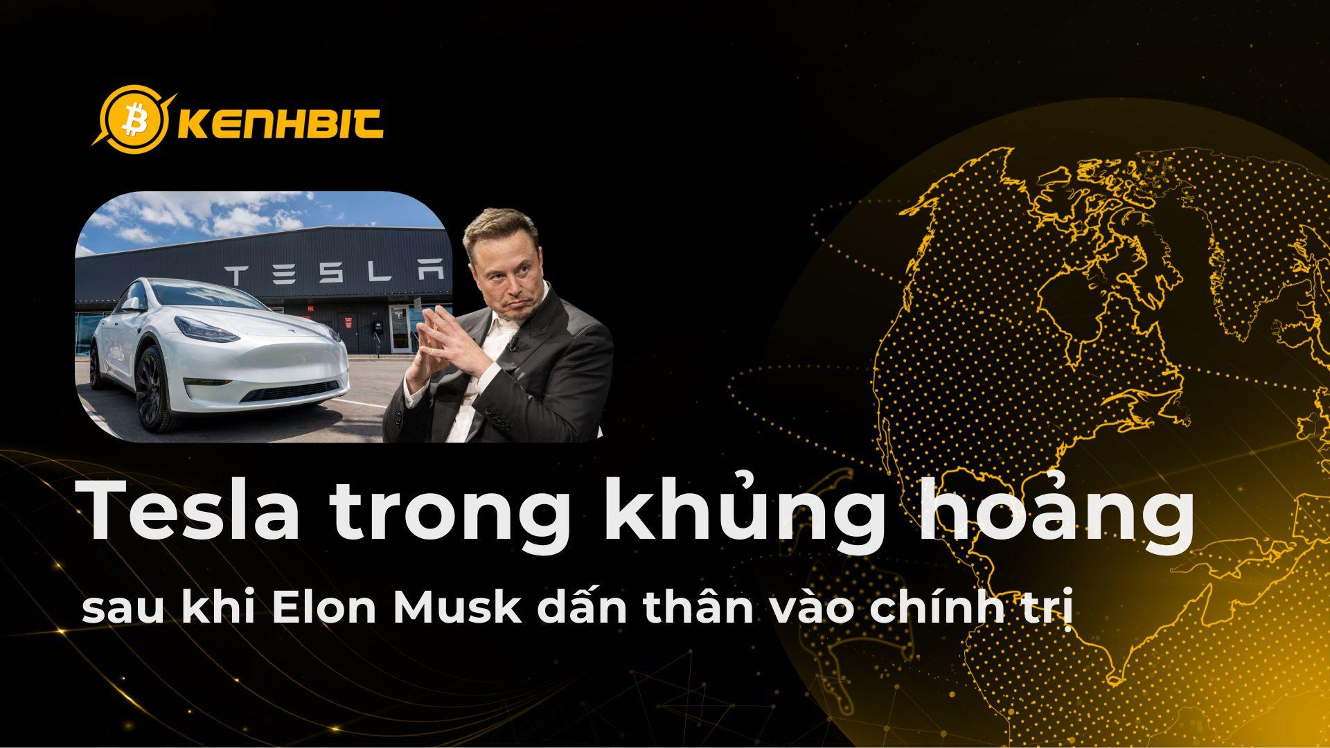 Tesla chìm trong khủng hoảng sau khi Elon Musk dấn thân vào chính trị