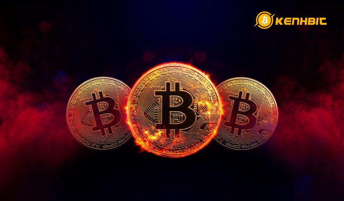 Bitcoin Halving là gì