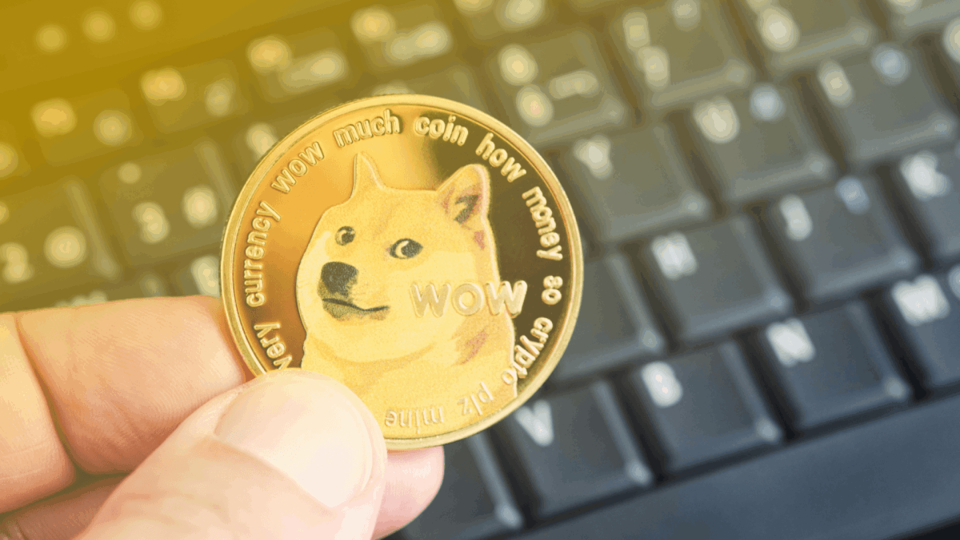 dogecoin-la-gi-tu-tro-dua-internet-thanh-meme-coin-quoc-dan-tri-gia-ty-do
